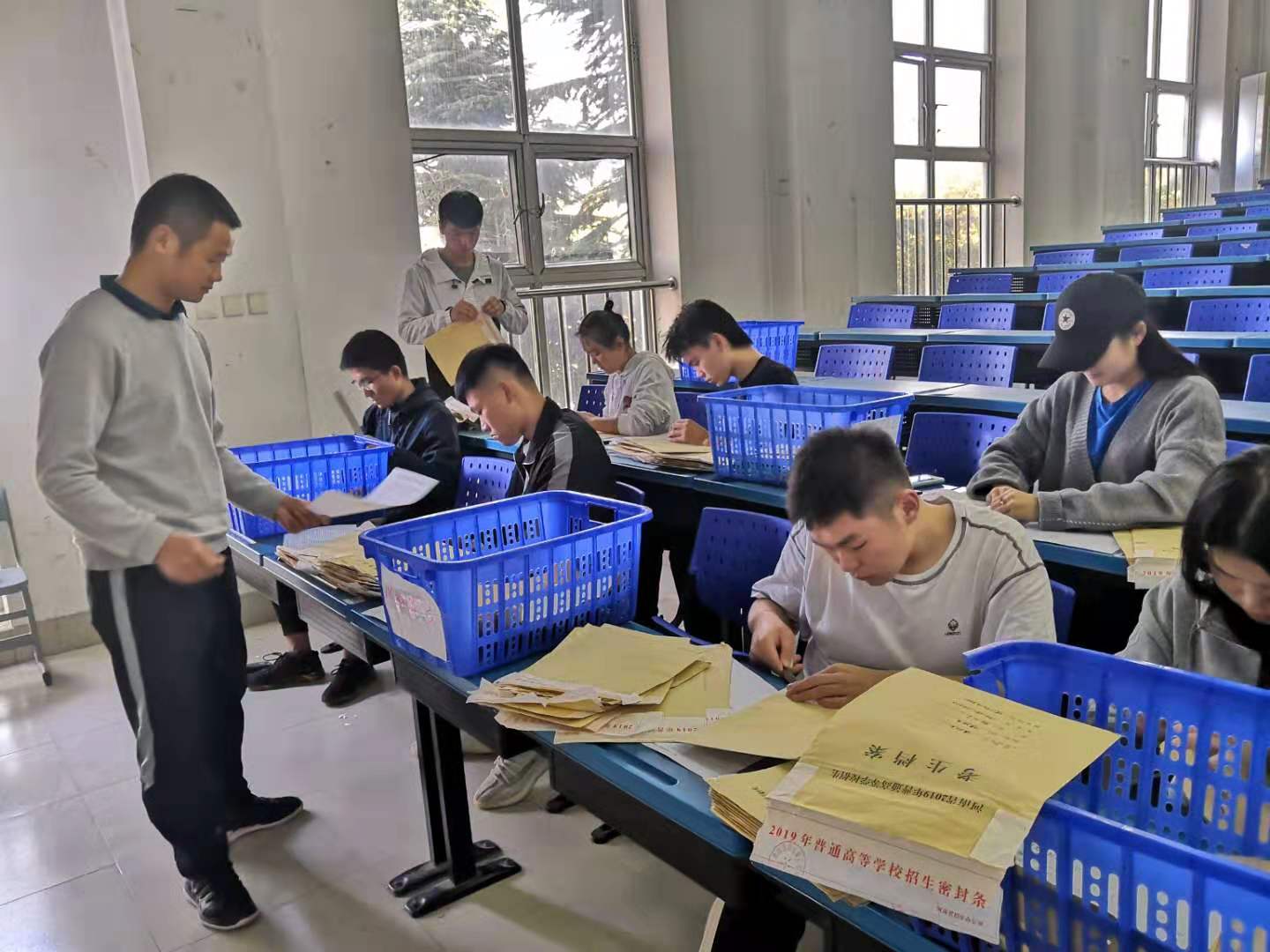 查验档案